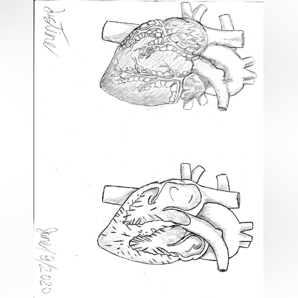 Digital Custom Pencil Art. - Picture 8 of 10